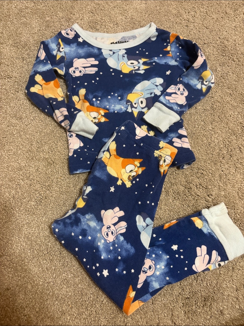 Bluey 2 pc pajama set